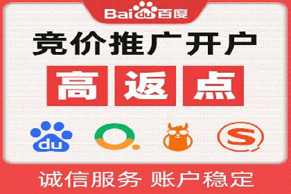 深入解析sem代运营推广公司的成功策略及效果